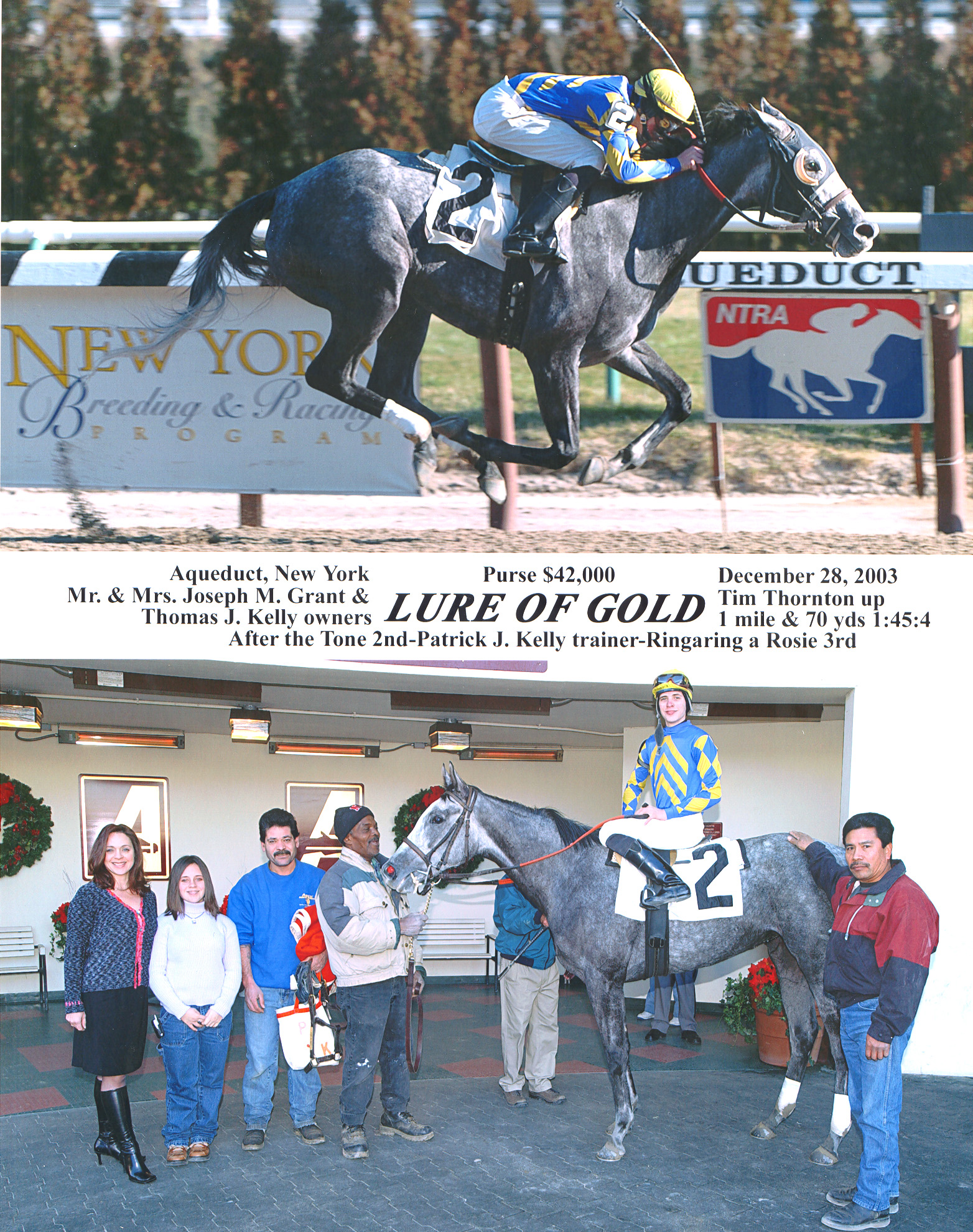 Lure of Gold 1st win
