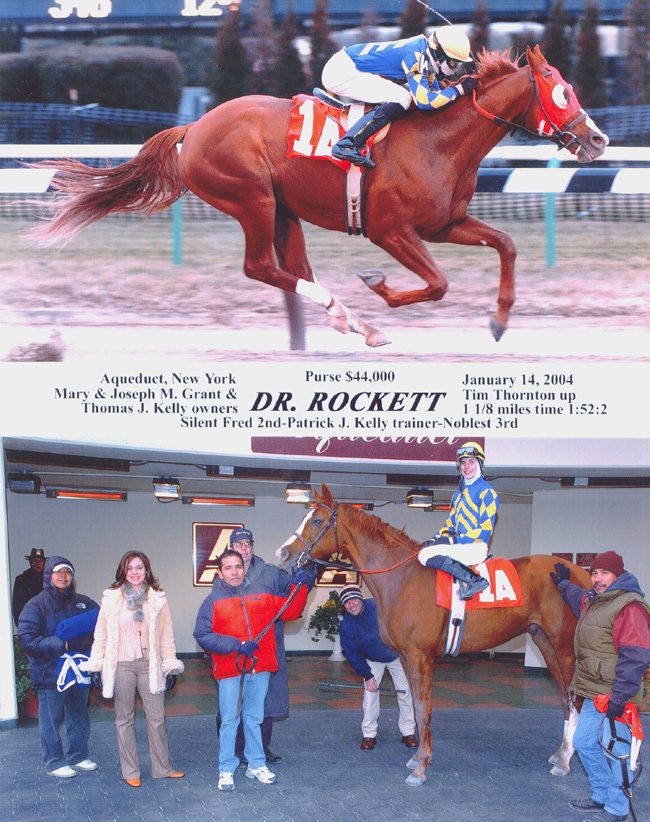 rocket web