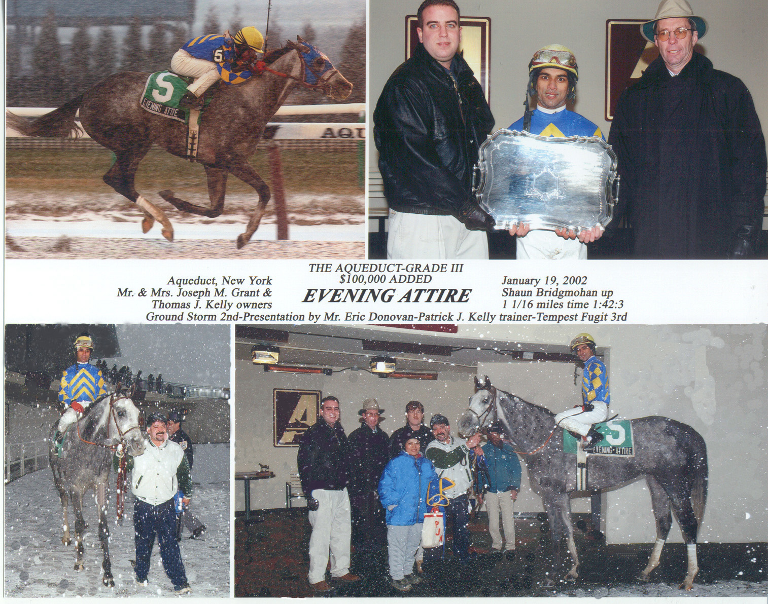 Aqueduct Handicap