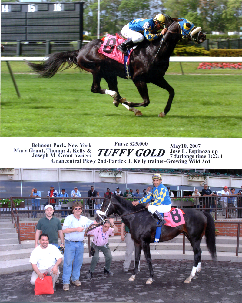 tuffy winpix 6 07